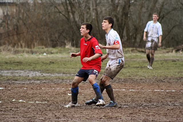 她曾参与了 她曾参与了