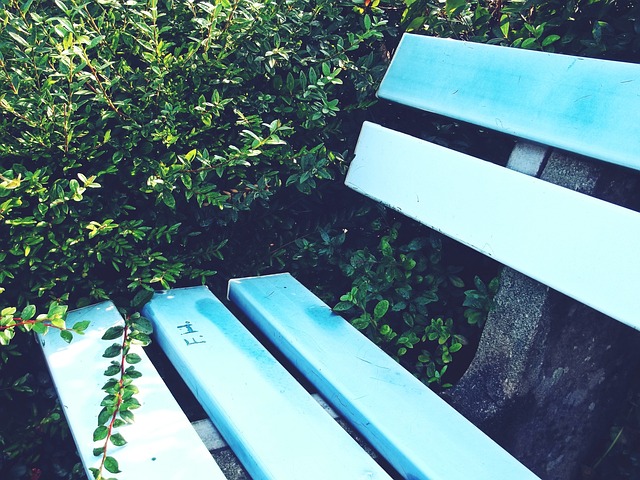 而齐麟和李 而齐麟和李