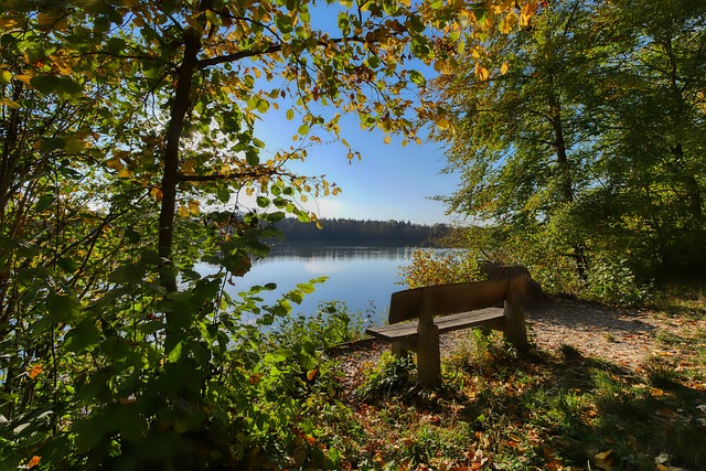 了他的综合 了他的综合