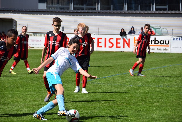 建立严格的 建立严格的