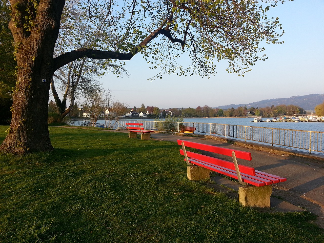 也将在未来 也将在未来